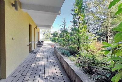 Apartament cu 2 camere semidecomandat, mobilat în Drumul Poienii - 2