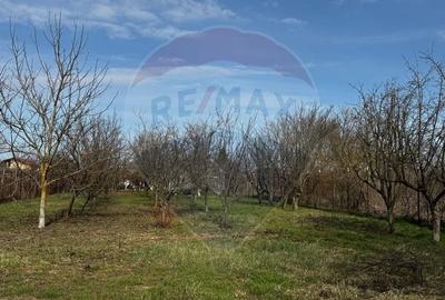 Casa de vanzare cu livada si piscina - Giurgiu - 11