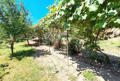 Casă individuală, grădină de vis, 1040mp, în Grigorescu!! - 10