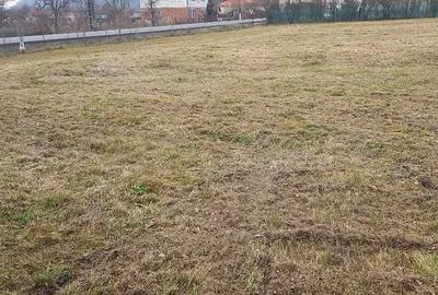 Casă cu Teren 6400 Mp în Zam - 3