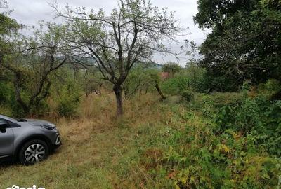 Teren de 720 mp, în Central - 1