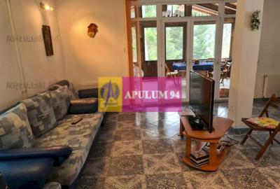 Vilă de vânzare in Sinaia - Zona Cumpătu - 13