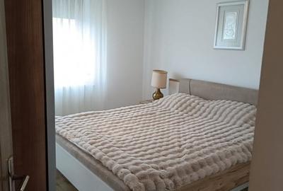 Sanmihaiu Roman - Casa individuala cu 3 camere si teren de 500 mp - 16
