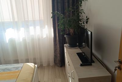 2 cam Brâncoveanu /Lamotesti - 7