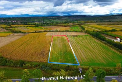 DE VANZARE - Teren intravilan la Drum European, Somcuta Mare - 2