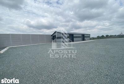 Spațiu comercial, de 350 mp, în Lipovei - 2