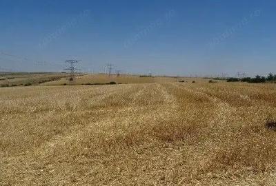 Teren extravilan Cernavoda, ID: R2755634 Teren extravilan Cernavoda, ID: R2755634 - 6