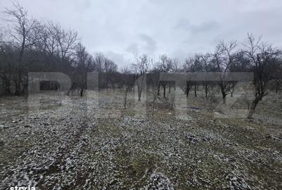 Teren de 9066 mp, în Aninoasa - 1