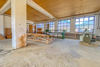 Spațiu industrial, de 1,473 mp, în Tulgheș - 17