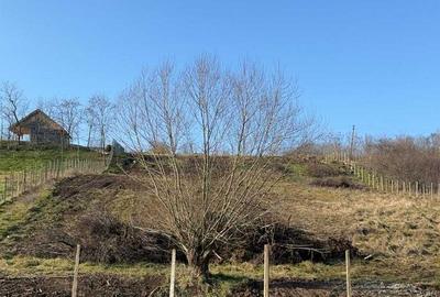 Teren de 3916 mp, în Herneacova