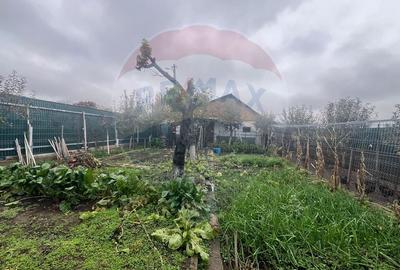 Casa 2 camere Carligele - 9