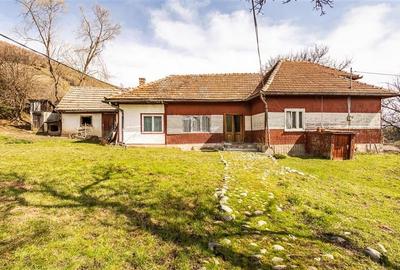 FILM! Pe 6.500mp teren + casa parinteasca, incantatoare pozitionare, acces facil - 2