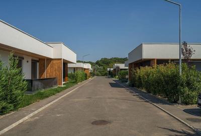 Vila Superba - Snagov Lac - Comunitate - Piscina - Ponton - 12