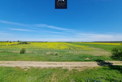 Teren agricol extravilan de 15170 mp, în Domnești - 5