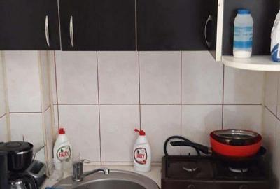 De inchiriat apartament 1 camera in zona Take ionescu - 3