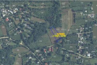 Teren Ungheni, ID: R2832820 - 2