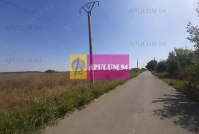 Teren de 1300 mp, în 1 Decembrie - 4