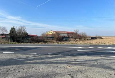 Teren Construcții intravilan de 5985 mp, în Nojorid - 14