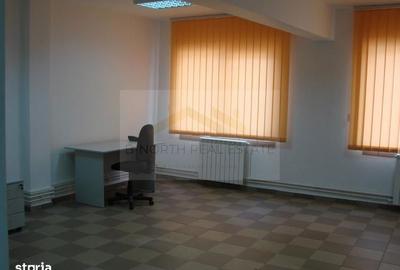 Spațiu comercial, de 350 mp, în Regie - 13