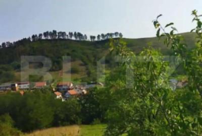 Teren de 1100 mp, în Pâclișa - 1