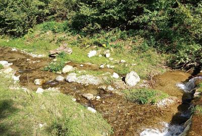 Spațiu comercial, în Central - 5