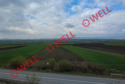 Teren intravilan de 5000 mp, în Bicfalău - 5