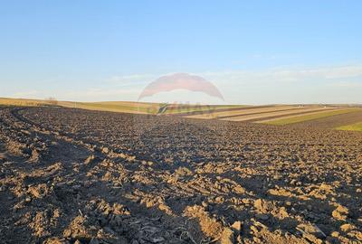 Teren extravilan 30077mp Stroiesti / Soseaua DN17, Suceava - 9