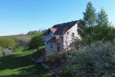 Teren 4800 mp cu Livada si Casa Nefinalizata - Adancata! - 10