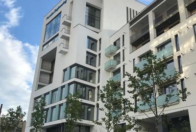 Garsonieră decomandată în Dosu Bricii - 1