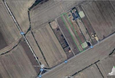 Teren agricol intravilan de 8050 mp, în Gruiu - 2