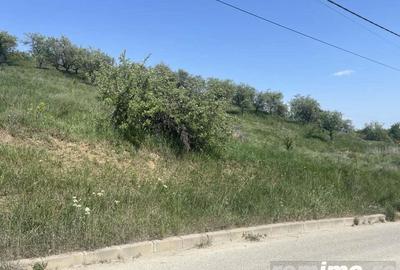 Teren de 23000 mp, în Dej - 5