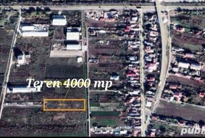 Teren de 4000 mp, în Sud