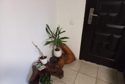 Vanzare | Casa | Zona Unirii | Ultracentral | Investitie | Venit Generat Lunar | - 5