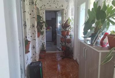 Casa de vanzare mobilata ?i utilata - 1