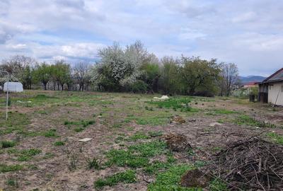 Teren de 4600 mp, în Recea - 2