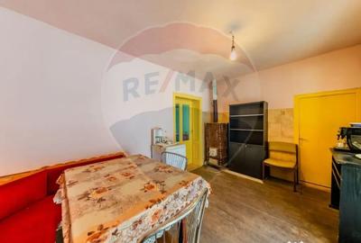 Casă cu 2 camere cu Teren 4500 Mp în Cărand - 4