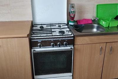 PF ofer pt inchiriere apart. 1 cam, cf sporit, in Mana?tur - 3