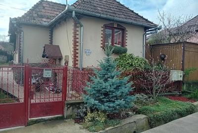 Casa de vanazare in Sandule?ti - 1