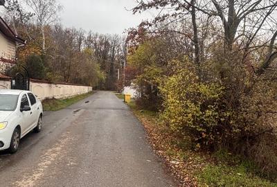 Vand Teren Saftica - Balotesti Iflov - 6