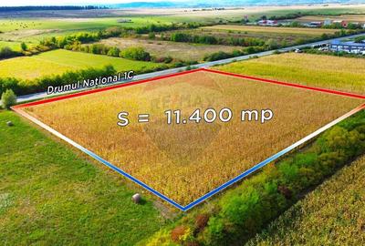 Teren Construcții intravilan de 5700 mp, în Finteușu Mare - 3