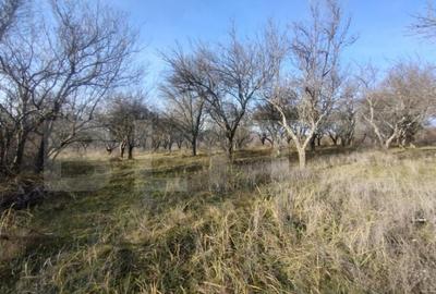 Teren extravilan,(livada pomi) 1,50 ha zona Subcetate - 3