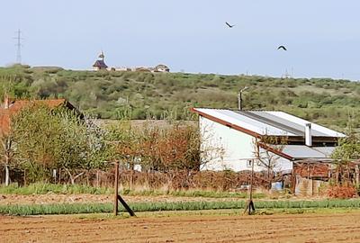 Teren agricol extravilan de 4923 mp, în Sântuhalm - 3