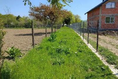 Teren de 3050 mp, în Plopu - 6