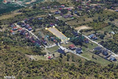 Spațiu comercial, în Podgoria - 3