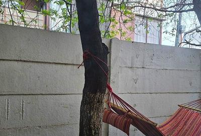 REV2005235 Casa de vanzare 7 camere Drumul Taberei - 14