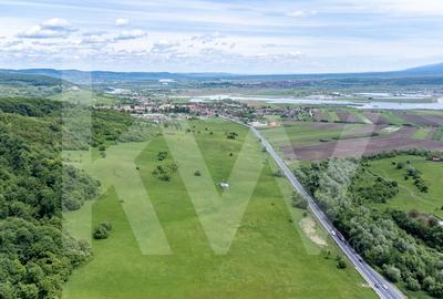 Teren de vanzare - 8.300 mp la intrare in Bradu, judetul Sibiu - 7