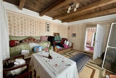 Casa cu teren de 5400 mp intravilan de vanzare, loc. Dileu Vechi - 2