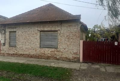 Casă cu 3 camere în Teremia Mare - 2