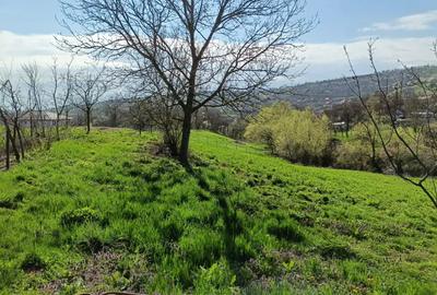 Casa de vanzare in sat Padureni, com. Tritenii de Jos - 1