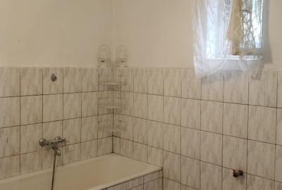 Vând casă în Zimandu Nou Vând casă în Zimandu Nou - 5